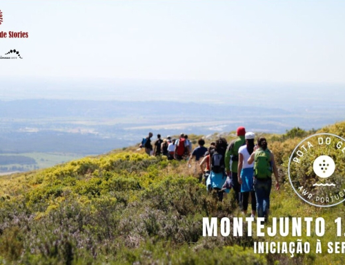 MONTEJUNTO 1.0 INICIAÇÃO