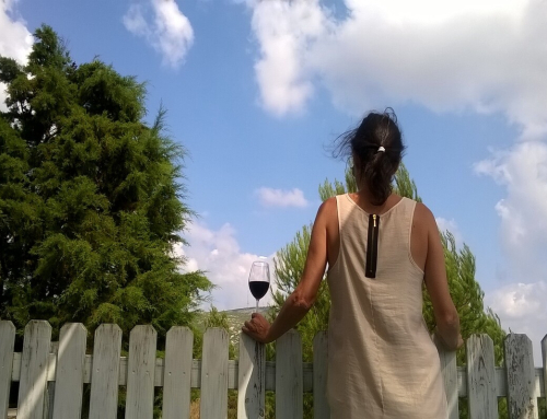 NA SERRA COM VINHOS 2